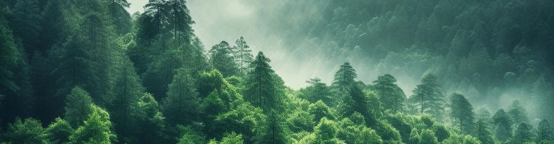 தயாரிப்புகள்